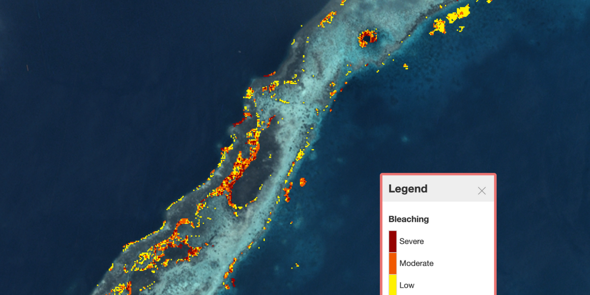 Bleaching monitoring system and legend